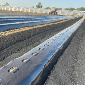 Пленка п/э стаб. многолетняя 60мкм полотно 1,1м (500м.п.), перф. (20), 30 кг (Десногорск) Пленка п/э стаб. многолетняя 60мкм полотно 1,1м (500м.п.), перф. (20), 30 кг (Десногорск)